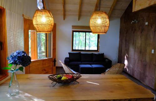 Palguin Alto House | Cabaña Bosque Río
