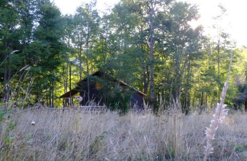 Palguin Alto House | Cabaña Bosque Río