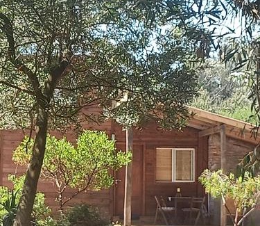 Balneario Argentino House | Cabaña de playa Ámate