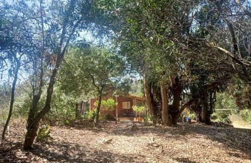Balneario Argentino House | Cabaña de playa Ámate