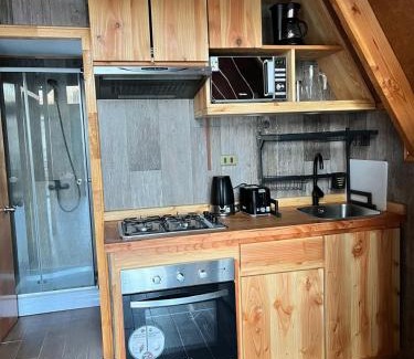 Curacautin Ski Chalet | Cabaña el Manzano