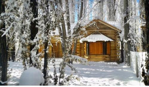 Uspallata House | Cabaña LA EMILIA Uspallata Mdz
