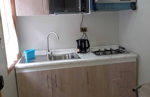 Temuco Cabin | cabaña para 3 personas en temuco