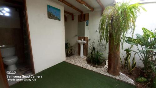 Pedernales Apartment | Cabaña Riviera Pacific