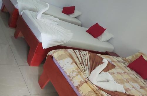 Tortuguero Hotel | Cabañas Daneysha