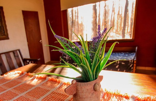 Malargue Cottage | Cabañas en Malargue