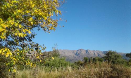 Nono Cabin | Cabañas Llajta Sumaj