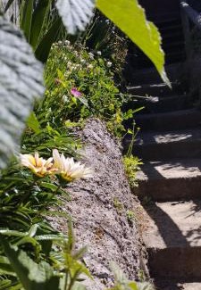 Osorno Apartment | Cabañas Los Geranios