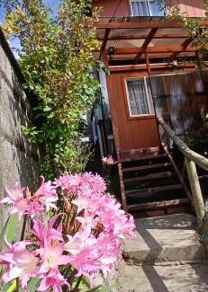 Osorno Apartment | Cabañas Los Geranios