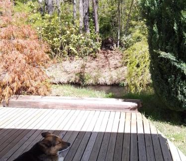 Pinto Cabin | Cabañas Nordic lodge