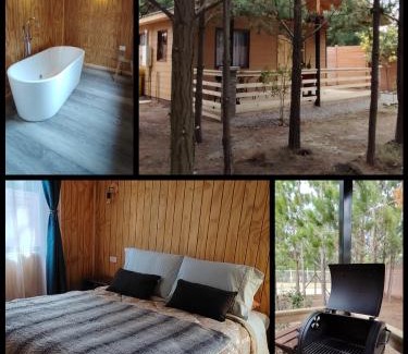 El Quisco Ski Chalet | Cabañas Pinos del Mar