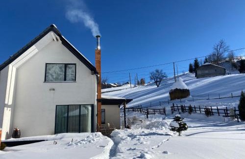Moieciu House | Cabana Șirnea