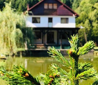 Cosbuc House | Cabana Țibleș