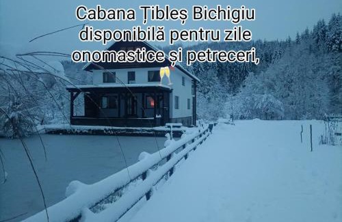 Cosbuc House | Cabana Țibleș