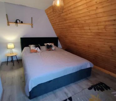 Traian Ski Chalet | Cabana Alive - Colibita