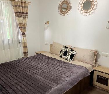 Beclean House | Cabana Amelie Baile Figa