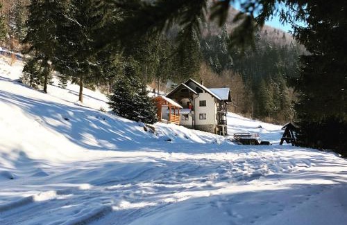 Dambovicioara Villa | Cabana Caprioara - Piatra Craiului