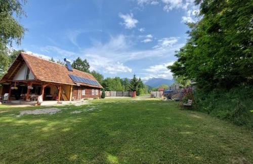 Arpasu de Sus House | CABANA CASA LU'BACIU