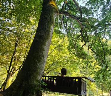 Budureasa House | Cabana Cezar