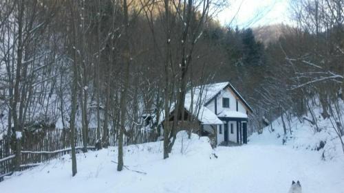 Turnu Rosu Cabin | Cabana Crenguta