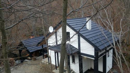 Turnu Rosu Cabin | Cabana Crenguta
