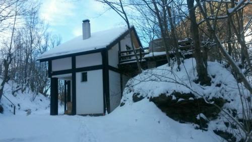 Turnu Rosu Cabin | Cabana Crenguta