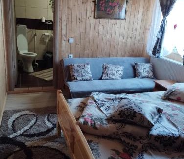 Arieseni Cabin | Cabana Dănuțza