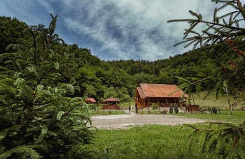 Ribita Cabin | Cabana Daria
