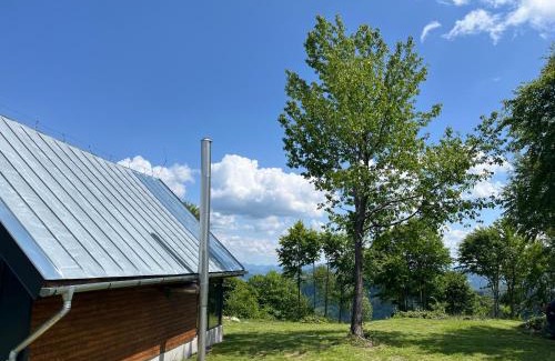 Poiana Vadului House | Cabana din deal