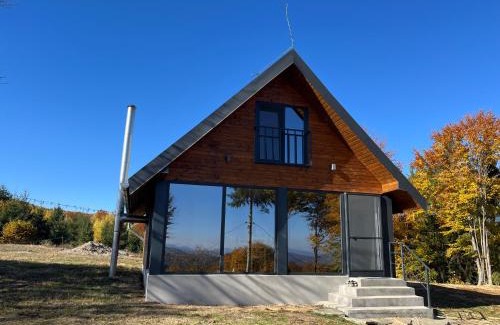 Poiana Vadului House | Cabana din deal