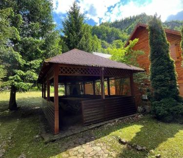 Pietroasa House | Cabana Diorrys