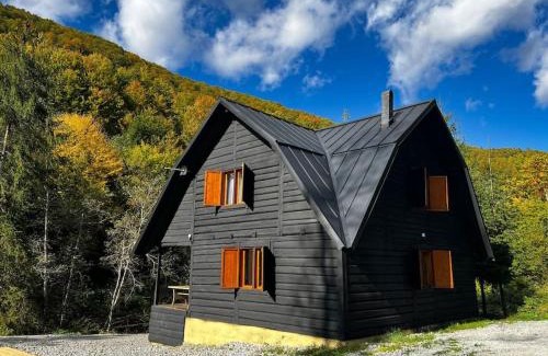Poieni House | Cabana Drăgana