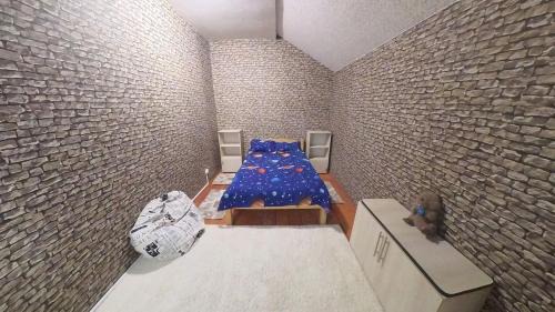 Lupeni House | Cabana Floare