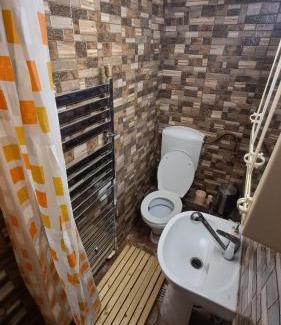 Lupeni House | Cabana Floare