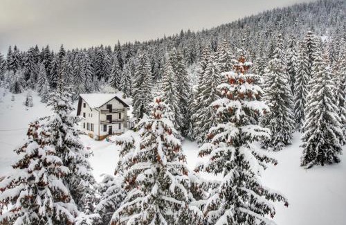 Vartop Cabin | CABANA FRAM VÂRTOP