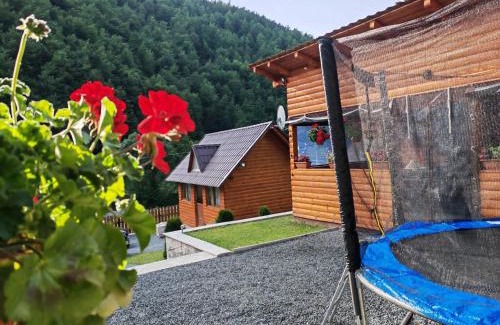 Arieseni House | Cabana Lazea