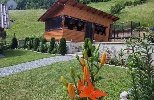 Arieseni House | Cabana Lazea