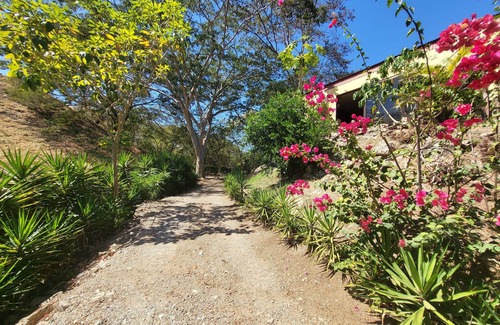 Jicaral Cabin | Cabana Luna