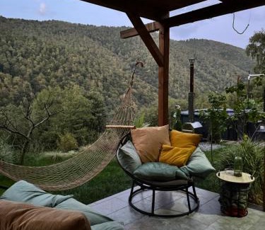 Valea Ierii House | Cabana Luna