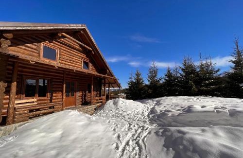 Tau Bistra Ski Chalet | Cabana Lupilor