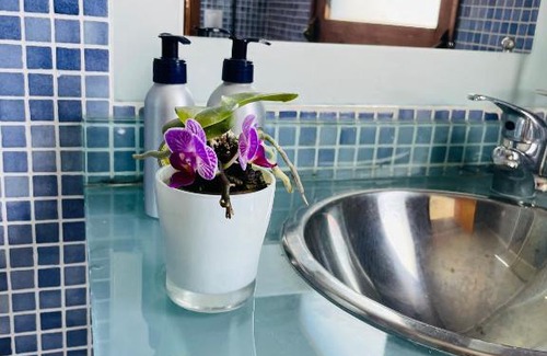 Laje House | Cabana mar e serra