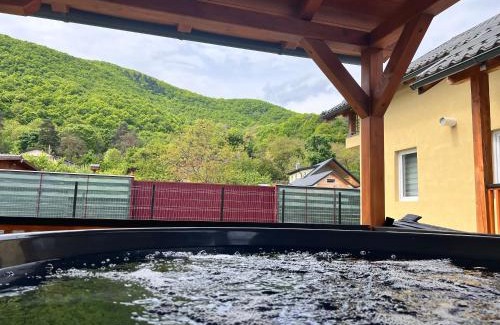 Moldovenesti House | Cabana Marc