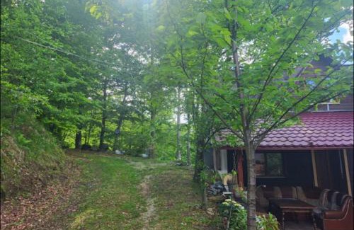 Gilau House | Cabana Muntele Rece