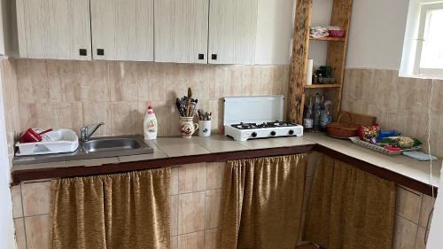 Lopadea Noua House | Cabana Nicu Odverem