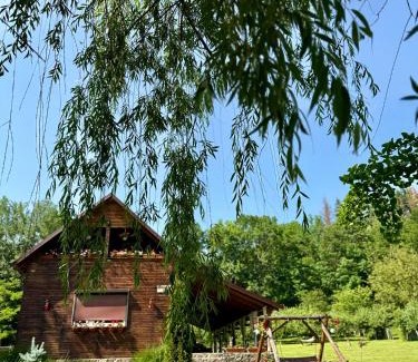 Tarnova Ski Chalet | Cabana Oana 5-bedrooms chalet