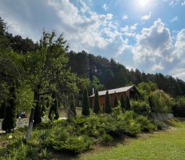Livezile House | Cabana Panga