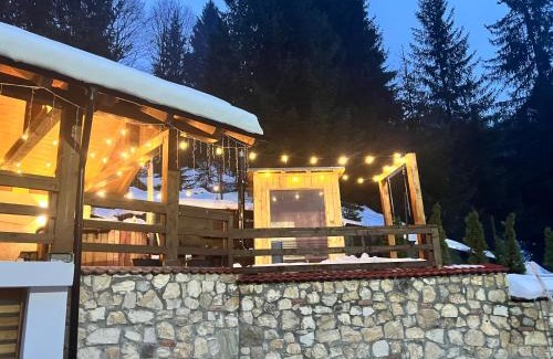 Borsa Ski Chalet | Cabana Rose House