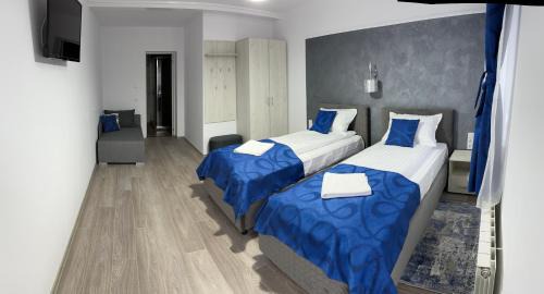 Orastioara de Sus House | Cabana Sarmis Costesti