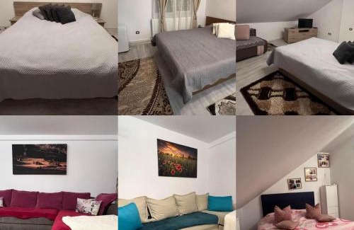 Moldovenesti House | Cabana Sofia
