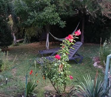 Hinova House | Cabana Timeea